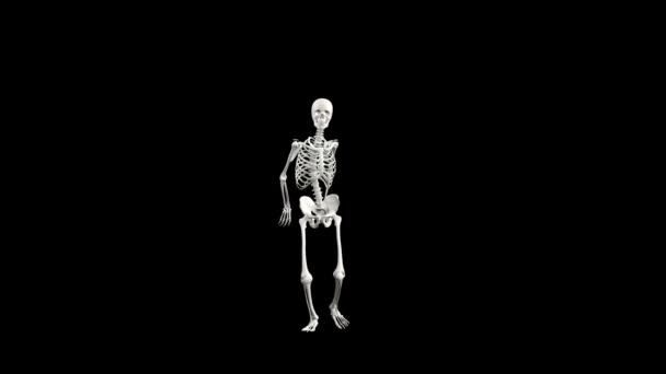 Sexy Esqueleto Baile Con Canal Alfa — Vídeo de stock