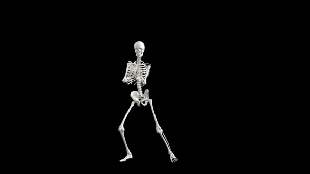 Sexy Esqueleto Baile Con Canal Alfa — Vídeo de stock