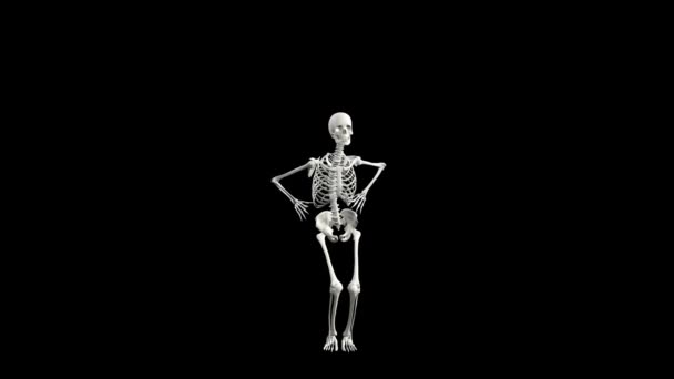 Sexy Skelet Dans Met Alfa Kanaal — Stockvideo