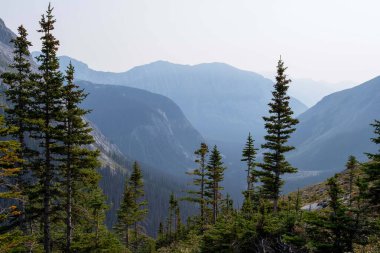 Kanada Rocky Dağları 'nda yüksek dağ göllerinin arka planında sis olan dramatik manzaralar.