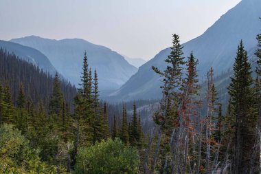 Kanada Rocky Dağları 'nda yüksek dağ göllerinin arka planında sis olan dramatik manzaralar.