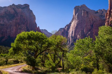 Zion Ulusal Parkı dramatik manzarası güneşli bir günde, Utah, ABD