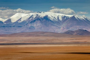 Atacama desert, volcanic arid landscape in Northern Chile, border with Bolivia, South America