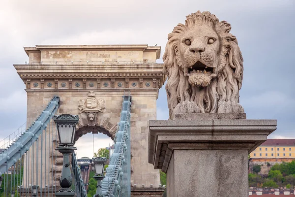 Löwe Und Kettenbrücke Bei Dramatischem Sonnenaufgang Budapest Ungarn Osteuropa — Stockfoto