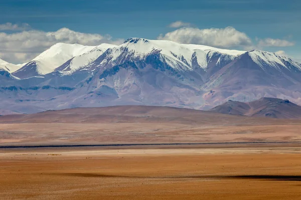 Atacama Desert Volcanic Arid Landscape Northern Chile Border Bolivia South — Foto de Stock