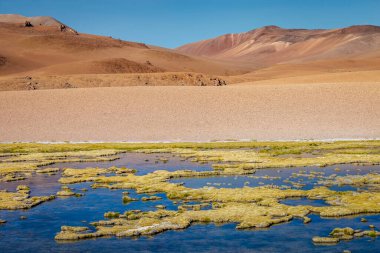 Salar de Atacama volkanik peyzaj ve tuz gölü Atacama Çölü, Şili, Güney Amerika