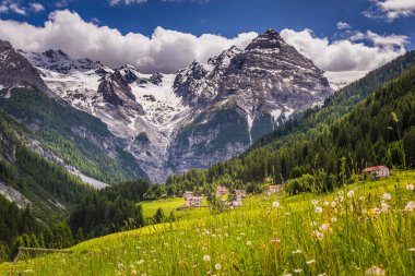 Ortler ve Stilfs 'in Idyllic' teki köyü, Passo dello Stelvio yakınlarında, Güney Tyrol Alpleri.
