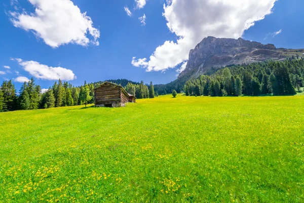 Idylická Alpská Krajina Svaté Magdaleny Jaře Val Funes Dolomity Alpy — Stock fotografie