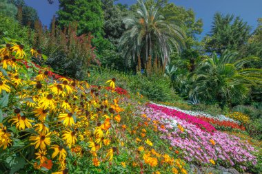 Kuzey İtalya 'daki Como Gölü' nde güneşli baharda Akdeniz bahçesi ve çiçekler.
