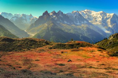Mont Blanc Massif Alp Dağları güneşli bir günde kırsal alan Chamonix, Fransız Alpleri