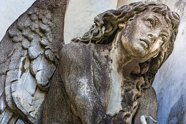 若い悲しい 美しい壊れやすい天使 リコレッタ墓地 ブエノスアイレス 南アメリカ — ストック写真
