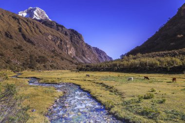 River ve Huascaran Dağı, Cordillera Blanca 'da karla kaplı And Dağları, Ancash, Peru, Güney Amerika
