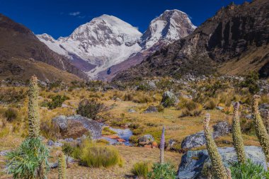 River ve Huascaran Dağı, Cordillera Blanca 'da karla kaplı And Dağları, Ancash, Peru, Güney Amerika
