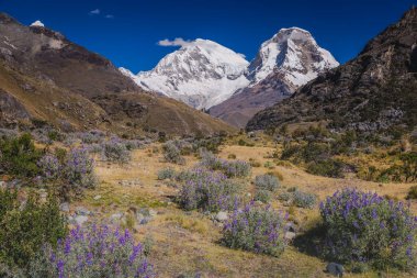 Huascaran Dağı, Cordillera Blanca 'da kar tepeli And Dağları, Ancash, Peru, Güney Amerika