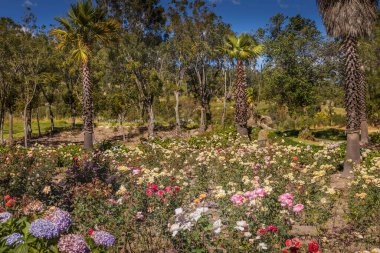Huascaran Dağı ve Yungay, Cordillera Blanca 'da kayıp şehir, karla kaplı And Dağları, Ancash, Peru, Güney Amerika