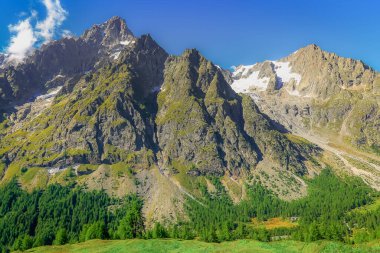 Mont Blanc Massif Alp Dağları güneşli bir günde kırsal alan Chamonix, Fransız Alpleri