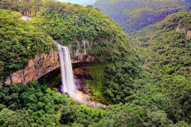 Canela 'da Caracol Şelalesi, Rio Grande do Sul, Güney Brezilya