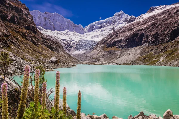 stock image Idyllic laguna Llaca in Cordillera Blanca, snowcapped Andes, Ancash, Peru