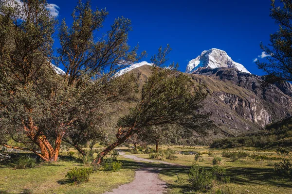 Trekking path, mountain pass in Huascaran, Cordillera Blanca, snowcapped Andes, Ancash Peru