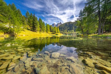 Alpine Gölü Palpuogna Graubunden İsviçre 'deki Albula Geçidi, Grisons, İsviçre