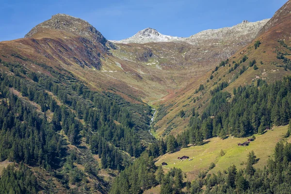 Panoramautsikt Över Dramatiskt Landskap Schweiziska Alperna Övre Engadine Graubunden Schweiz — Stockfoto