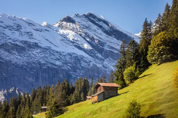Pohled Zasněžené Bernské Švýcarské Alpy Alpské Farmy Švýcarsko — Stock fotografie
