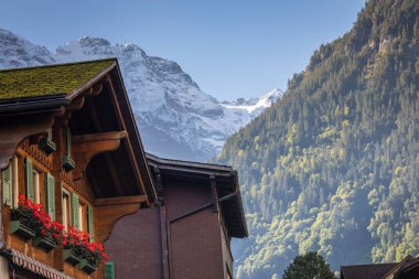 Baharda dağlı, Interlaken, İsviçre Alpli kır evlerinde renkli çiçekler.