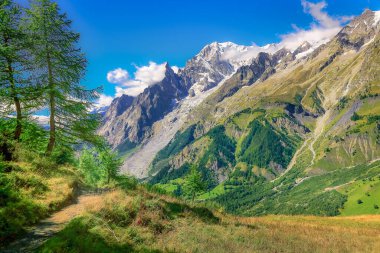 Mont Blanc Massif Alp Dağları güneşli bir günde kırsal alan Chamonix, Fransız Alpleri