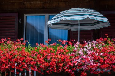 Baharda güneş şemsiyesi, Interlaken, İsviçre Alpleri ile kırsal balkonda renkli çiçekler