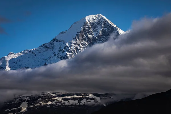 Góra Misty Eiger Snowcapped Berneńskich Alp Szwajcarskich Widok Schynige Platte — Zdjęcie stockowe