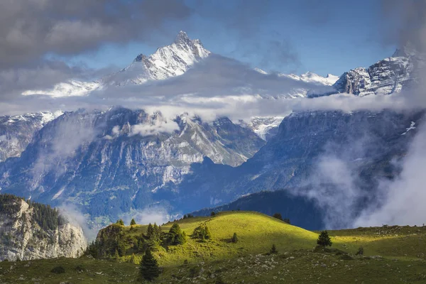 Misty Mountain Boven Grindelwald Valley Berner Alpen Met Sneeuwtoppen Bij — Stockfoto