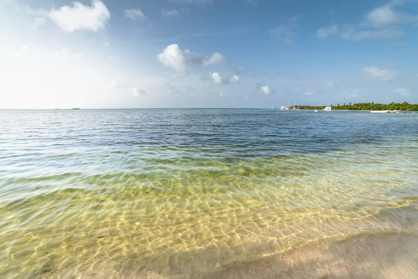 Palmy Tropická Idylická Osamocená Pláž Punta Cana Tyrkysové Karibské Moře — Stock fotografie