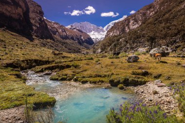 River ve Huascaran Dağı, Cordillera Blanca 'da karla kaplı And Dağları, Ancash, Peru, Güney Amerika