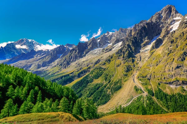 Mont Blanc Massif Alp Dağları Güneşli Bir Günde Kırsal Alan — Stok fotoğraf