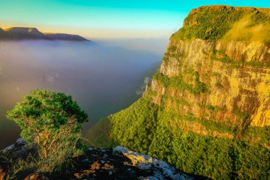 Güneşli bir günde Canyon Fortaleza ve orman vadisi, Rio Grande do Sul, Güney Brezilya