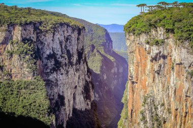 Canyon Itaimbezinho ve güneşli günde orman vadisi, Rio Grande do Sul, Güney Brezilya