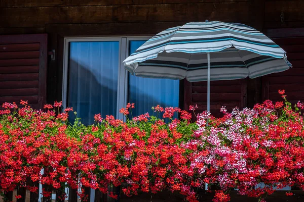 Flores Coloridas Varanda Rústica Primavera Com Guarda Sol Interlaken Alpes — Fotografia de Stock