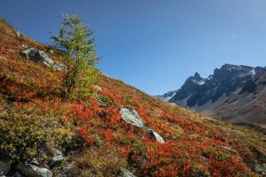 Dramatik manzaranın panoramik görüntüsü, İsviçre Alpleri Motor, Graubunden, İsviçre