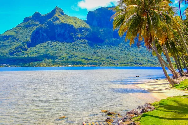 Moorea Tropický Ráj Idylická Tyrkysová Slunečná Pláž Francouzské Polynésii Tahiti — Stock fotografie