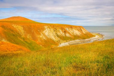 Kaikoura coastline in Canterbury region, New Zealand south Island