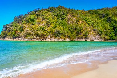 Idyllic beach in abel tasman national park, New Zealand South Island at sunny day