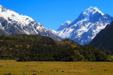 Hooker Valley meadows and Mt Cook massif, South Island of New Zealand at sunny day