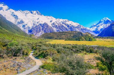 Hooker Valley meadows and Mt Cook massif, South Island of New Zealand at sunny day