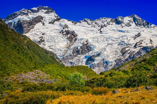 Hooker Valley meadows and Mt Cook massif, South Island of New Zealand at sunny day