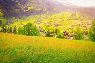Grindelwald is a village in the Interlaken district in the canton of Berne in Switzerland