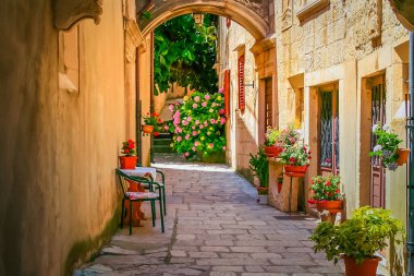 Garden corner with flowers in Korcula medieval old town, Dalmatia at sunny day, Croatia