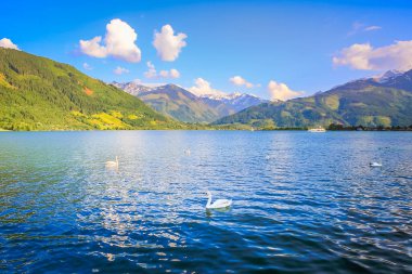 Zell am See and lake idyllic alpine landscape in Carinthia, Austria