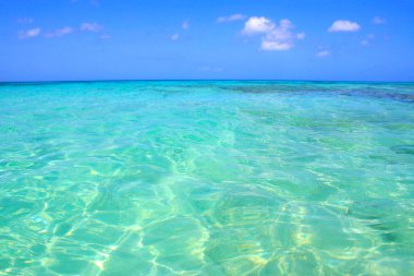 Cennet Aruba, Karayip Mavi Denizi, Duth Antilleri 'ndeki tenha turkuaz plajı.