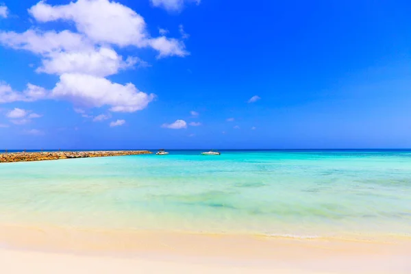 Cennet Aruba, Karayip Mavi Denizi, Duth Antilleri 'ndeki tenha turkuaz plajı.