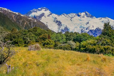 Hooker Valley meadows and Mt Cook massif, South Island of New Zealand at sunny day